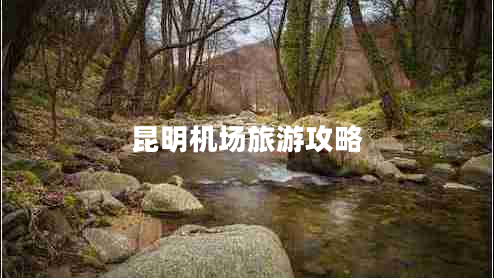 昆明機場旅游攻略