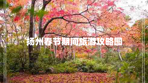 揚(yáng)州春節(jié)期間旅游攻略圖