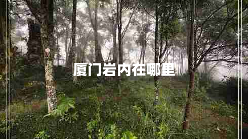 廈門巖內(nèi)在哪里