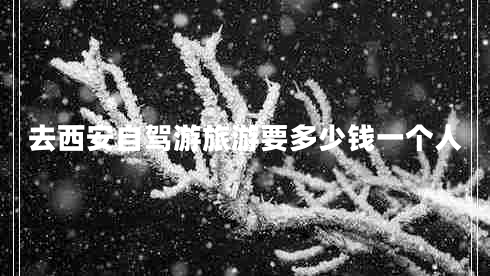 去西安自駕游旅游要多少錢一個(gè)人