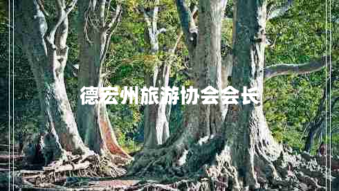 德宏州旅游協(xié)會會長