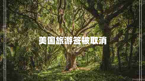 美國(guó)旅游簽被取消