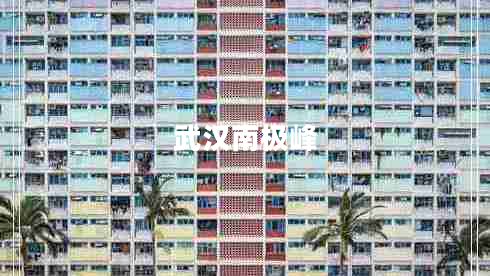 武漢南極峰