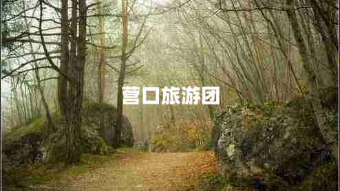 營口旅游團(tuán)