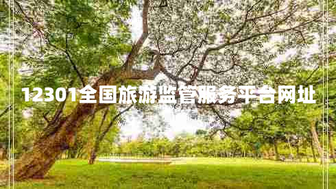 12301全國旅游監(jiān)管服務(wù)平臺網(wǎng)址