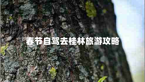 春節(jié)自駕去桂林旅游攻略