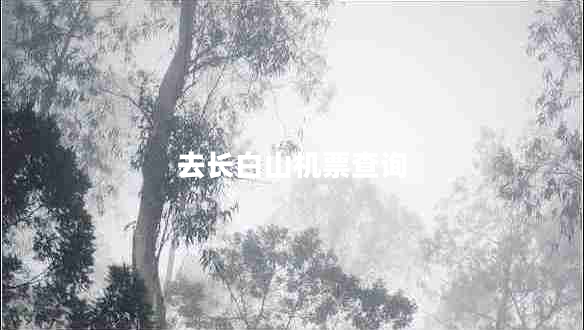 去長(zhǎng)白山機(jī)票查詢