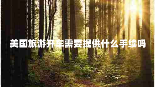 美國(guó)旅游開車需要提供什么手續(xù)嗎