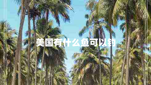 美國(guó)有什么魚(yú)可以釣