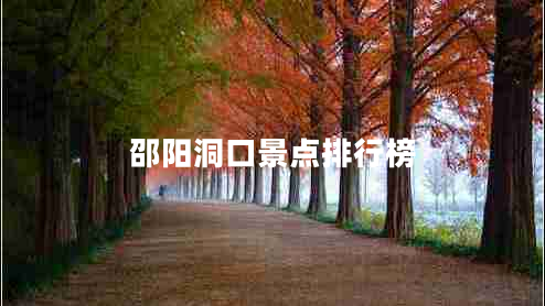 邵陽洞口景點排行榜