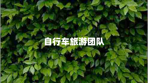 自行車旅游團隊