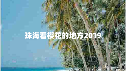 珠?？礄鸦ǖ牡胤?019