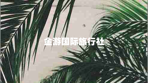 金游國(guó)際旅行社