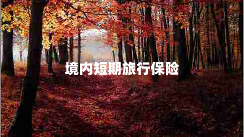 境內(nèi)短期旅行保險(xiǎn)