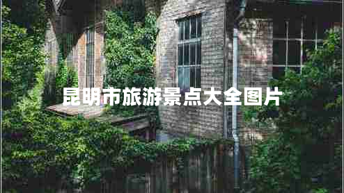 昆明市旅游景點大全圖片