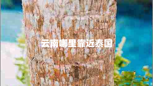 云南哪里靠近泰國(guó)
