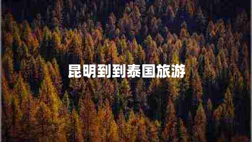 昆明到到泰國(guó)旅游