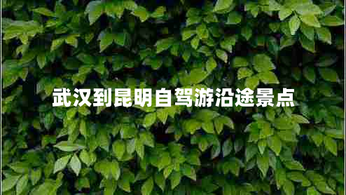 武漢到昆明自駕游沿途景點