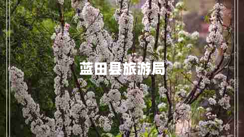 藍(lán)田縣旅游局