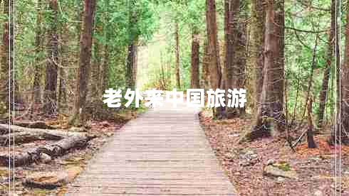 老外來(lái)中國(guó)旅游