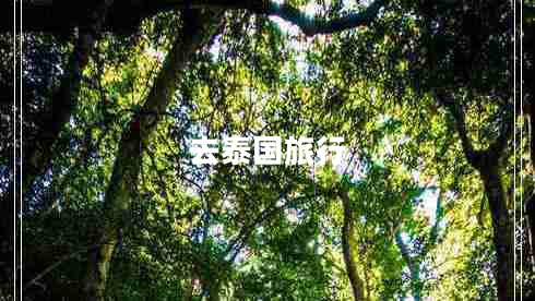 去泰國(guó)旅行