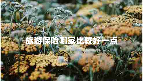 旅游保險(xiǎn)哪家比較好一點(diǎn)