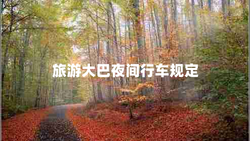 旅游大巴夜間行車規(guī)定