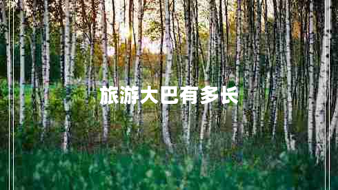 旅游大巴有多長(zhǎng)
