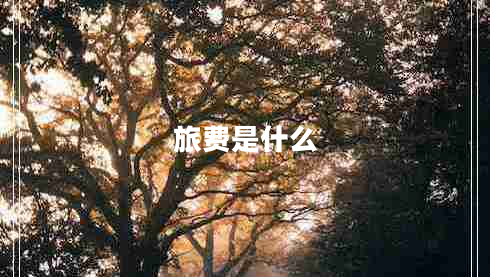 旅費(fèi)是什么