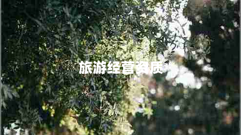 旅游經營資質