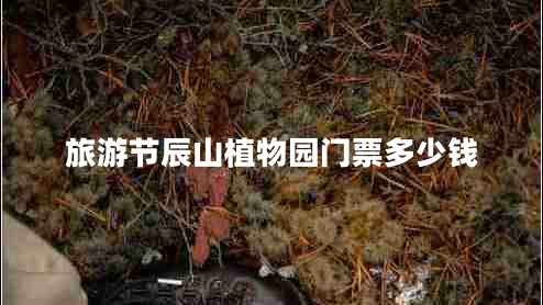 旅游節(jié)辰山植物園門(mén)票多少錢(qián)