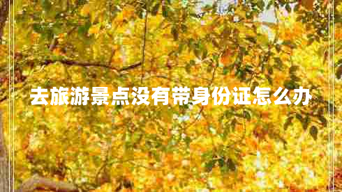 去旅游景點沒有帶身份證怎么辦