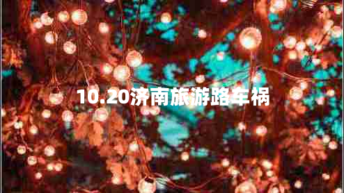 10.20濟南旅游路車禍