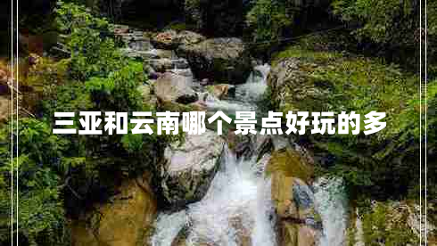 三亞和云南哪個景點好玩的多