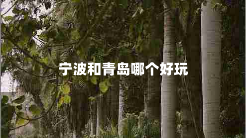 寧波和青島哪個好玩