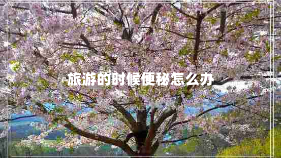 旅游的時候便秘怎么辦