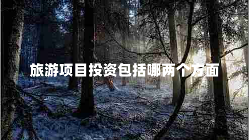 旅游項目投資包括哪兩個方面