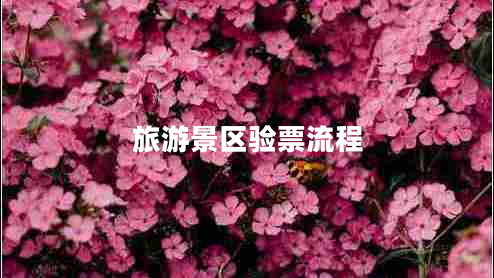 旅游景區(qū)驗票流程