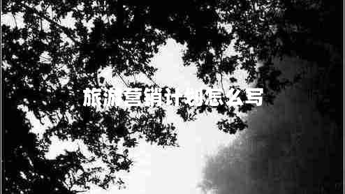 旅游營(yíng)銷計(jì)劃怎么寫