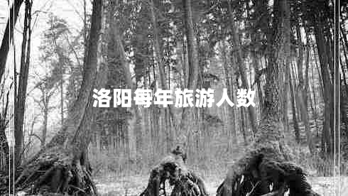 洛陽每年旅游人數(shù)