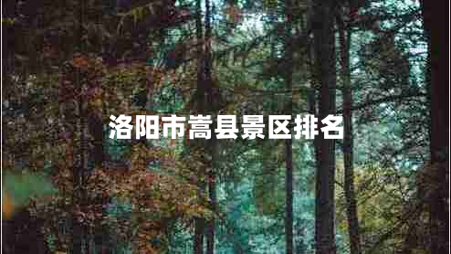 洛陽(yáng)市嵩縣景區(qū)排名