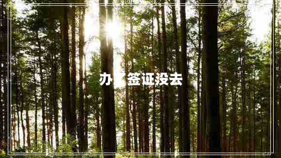 辦了簽證沒去