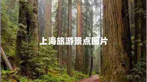 上海旅游景點圖片