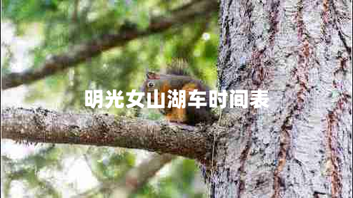 明光女山湖車時間表