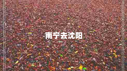 南寧去沈陽