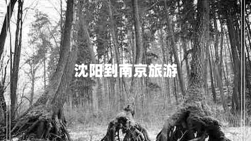沈陽到南京旅游