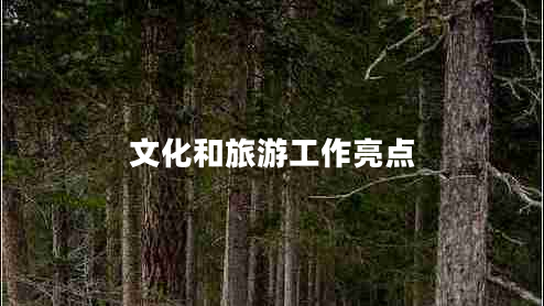 文化和旅游工作亮點