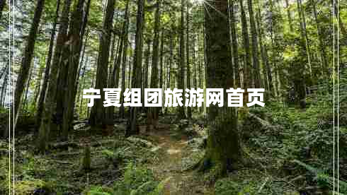 寧夏組團(tuán)旅游網(wǎng)首頁