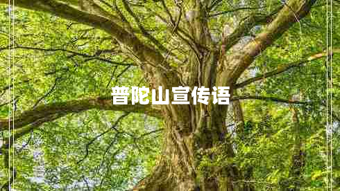 普陀山宣傳語