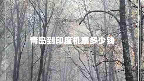 青島到印度機(jī)票多少錢(qián)